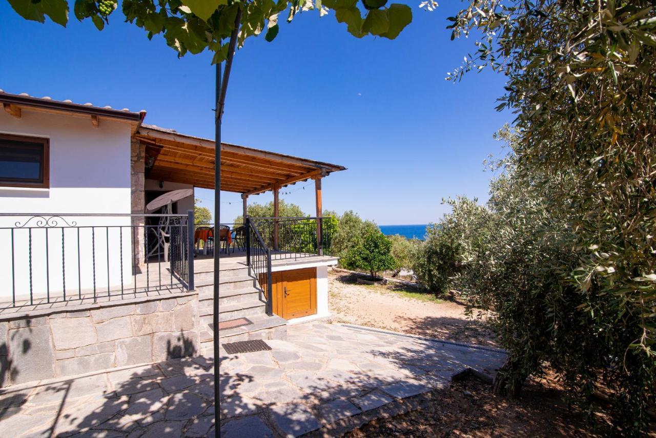 Archodissa Villa Thimonia Экстерьер фото