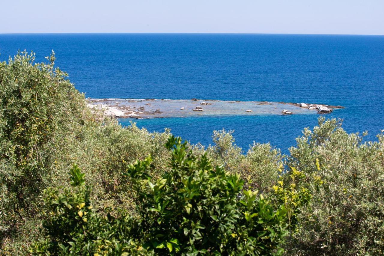 Archodissa Villa Thimonia Экстерьер фото